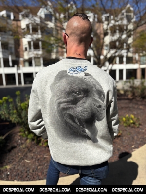Pitbull West Coast Sweater 'Red Nose II Grey'