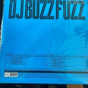Hardcore Vinyl 'Hardcore Legends - DJ Buzz Fuzz'